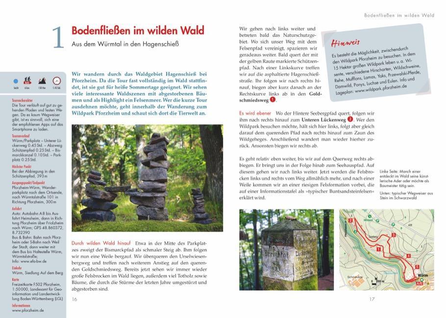 Bild: 9783862467617 | Wander-Geheimtipps nördlicher Schwarzwald | Dieter Buck | Taschenbuch