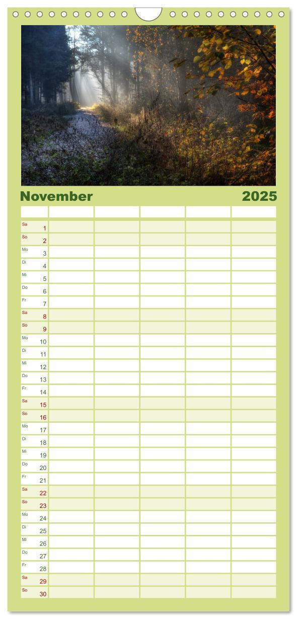 Bild: 9783457119600 | Familienplaner 2025 - Waldkalender mit 5 Spalten (Wandkalender, 21...