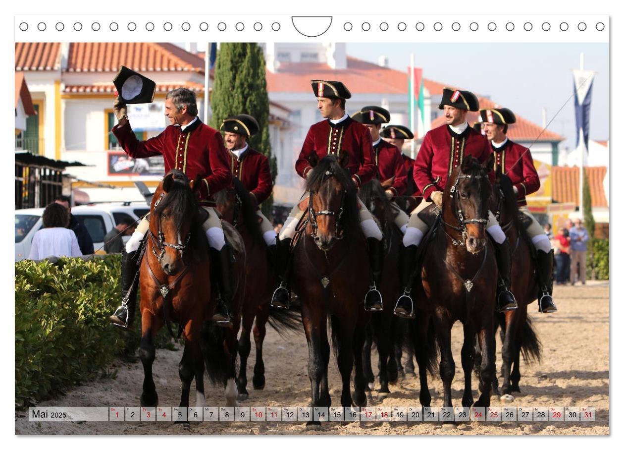 Bild: 9783435426348 | Portugal - Pferdefestival von Golegã (Wandkalender 2025 DIN A4...