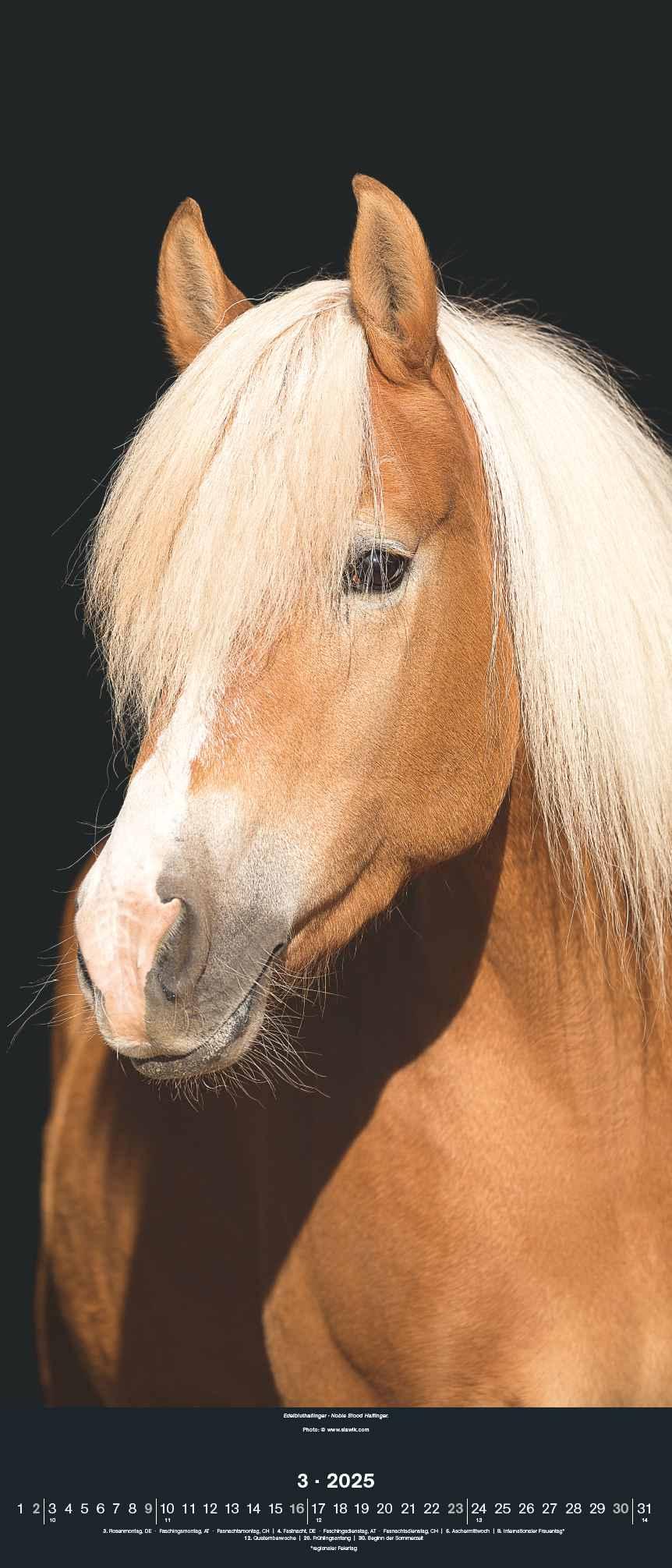 Bild: 4002725994202 | Beautiful Horses 2025 - Foto-Kalender - Wand-Kalender - 30x70 | 28 S.