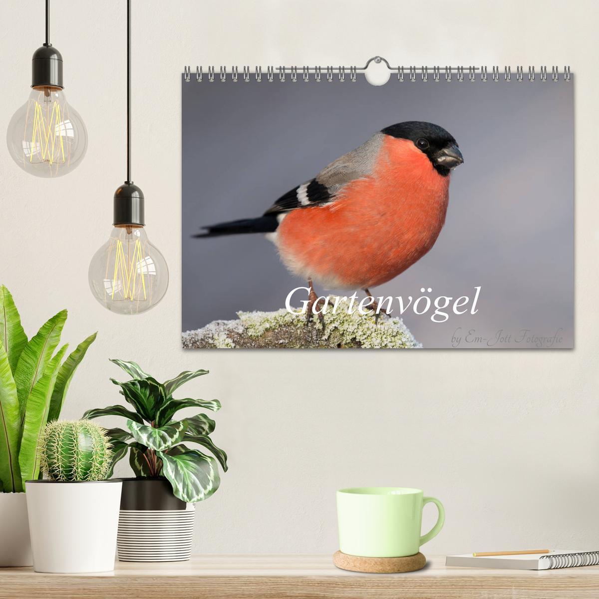 Bild: 9783435381524 | Vögel aus dem Garten (Wandkalender 2025 DIN A4 quer), CALVENDO...