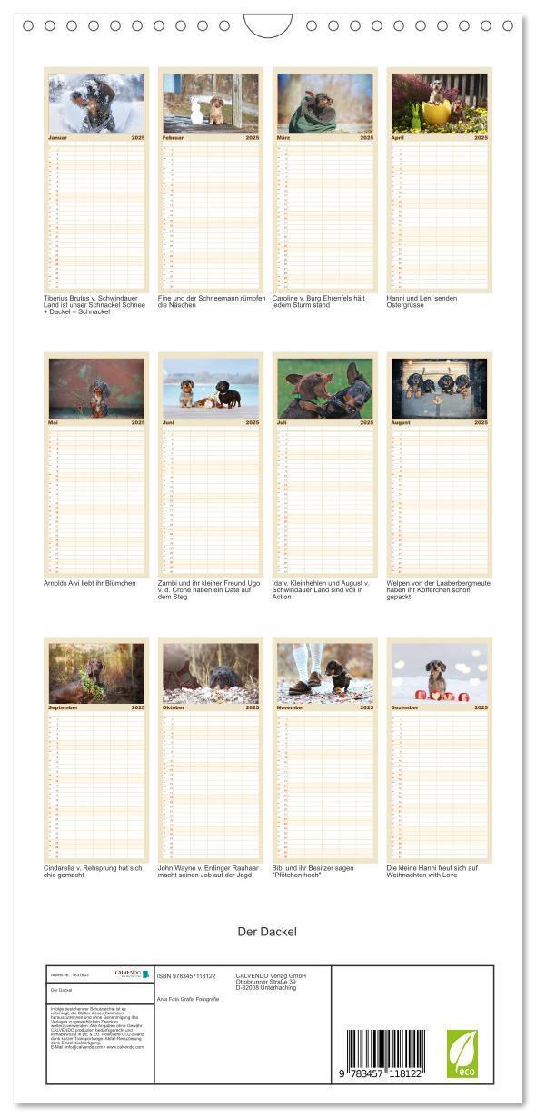 Bild: 9783457118122 | Familienplaner 2025 - Der Dackel mit 5 Spalten (Wandkalender, 21 x...