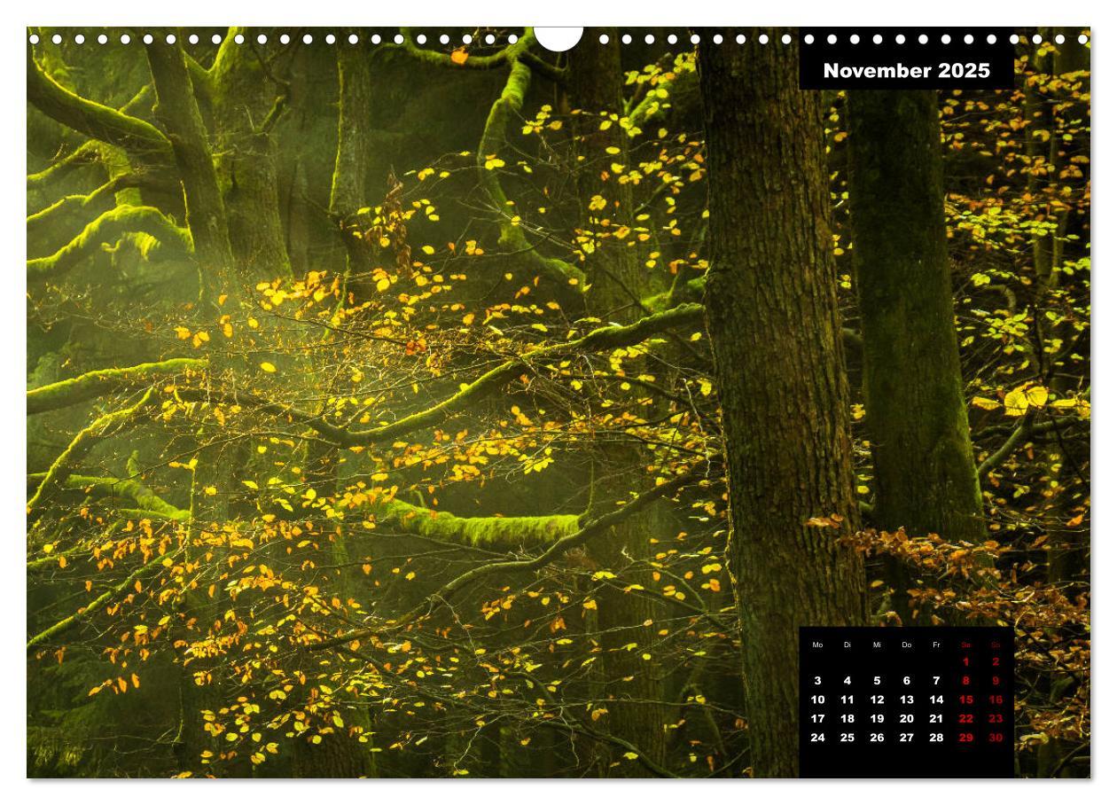 Bild: 9783435287086 | Malerisches Sauerland (Wandkalender 2025 DIN A3 quer), CALVENDO...