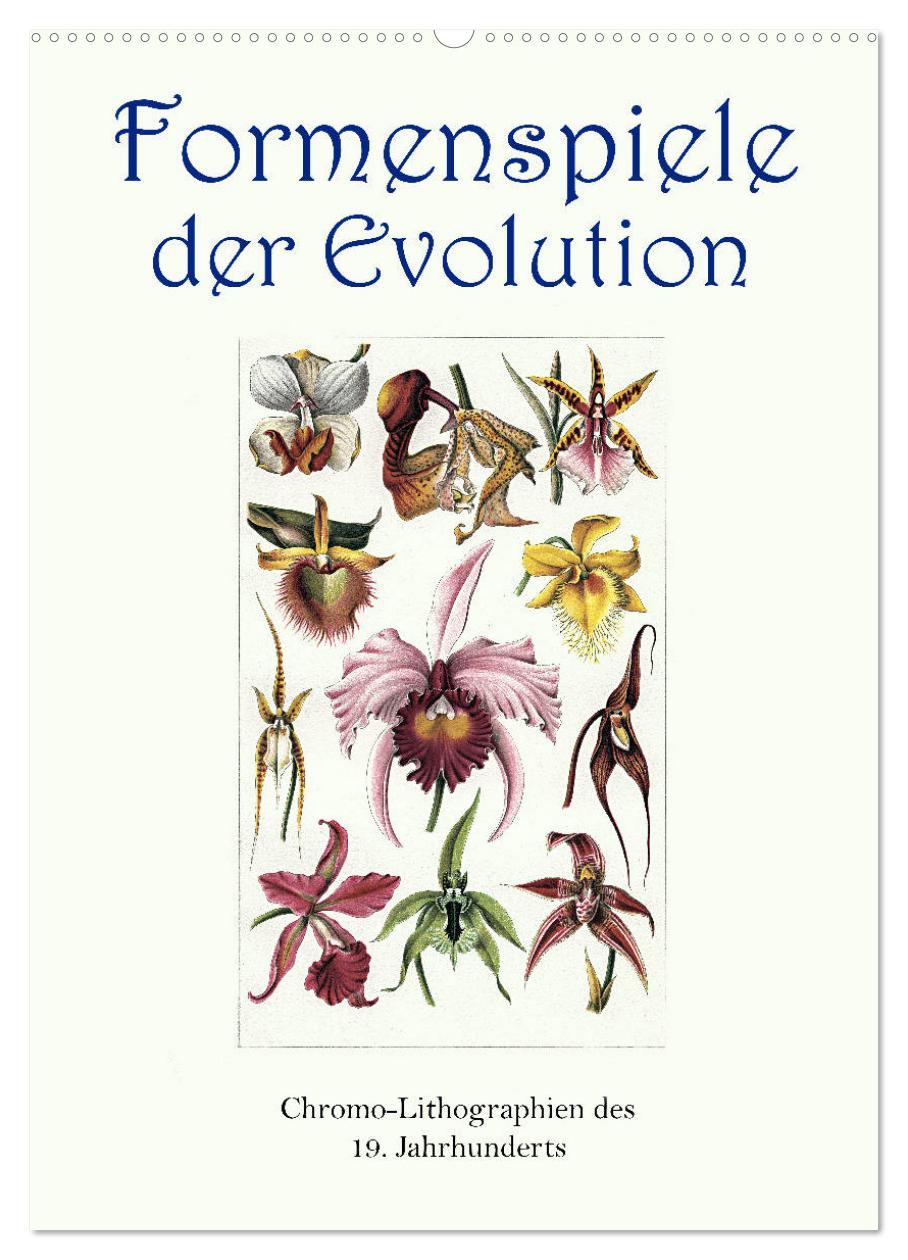 Cover: 9783435978236 | Formenspiele der Evolution. Chromolithographien des 19....