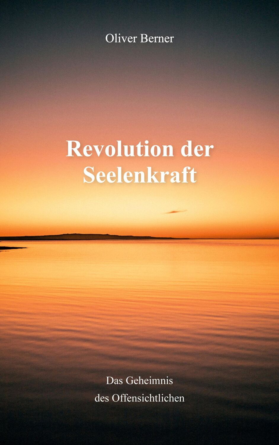 Cover: 9783758302503 | Revolution der Seelenkraft | das Geheimnis des Offensichtlichen | Buch