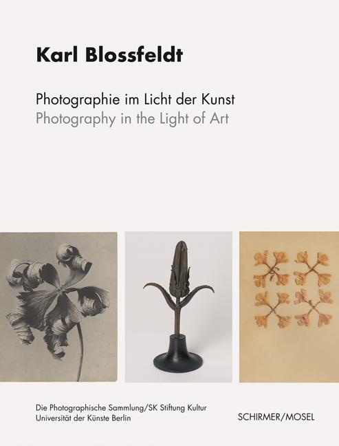 Cover: 9783829610247 | Photographie im Licht der Kunst / Photography in the Light of Art