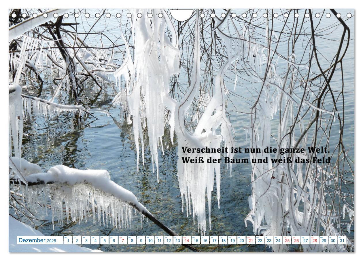 Bild: 9783435122271 | Kraftquelle Natur (Wandkalender 2025 DIN A4 quer), CALVENDO...