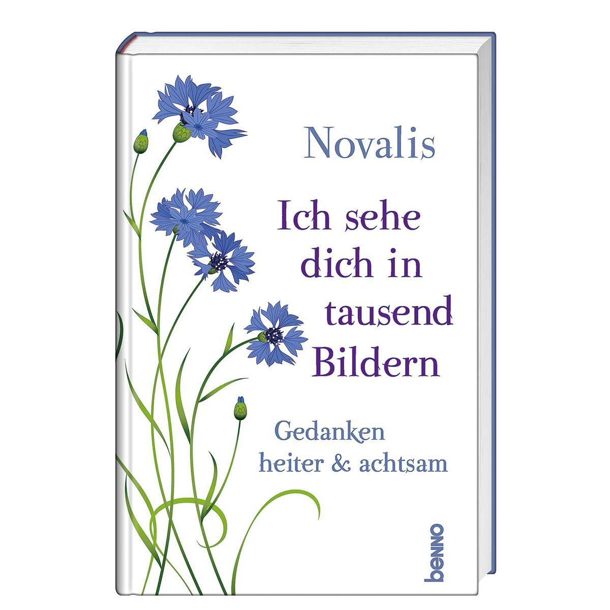 Cover: 9783746261386 | Ich sehe dich in tausend Bildern | Gedanken heiter &amp; achtsam | Novalis