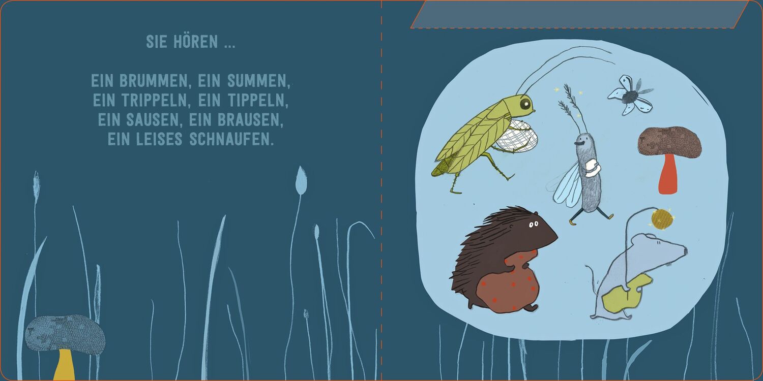 Bild: 9783905945690 | Ich geb immer auf dich Acht. Gute Nacht! | Regina Schwarz | Buch