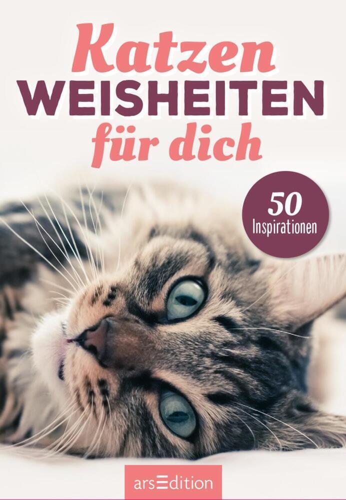 Cover: 9783845852935 | Katzenweisheiten für dich | 50 Inspirationen | Stück | 51 S. | Deutsch