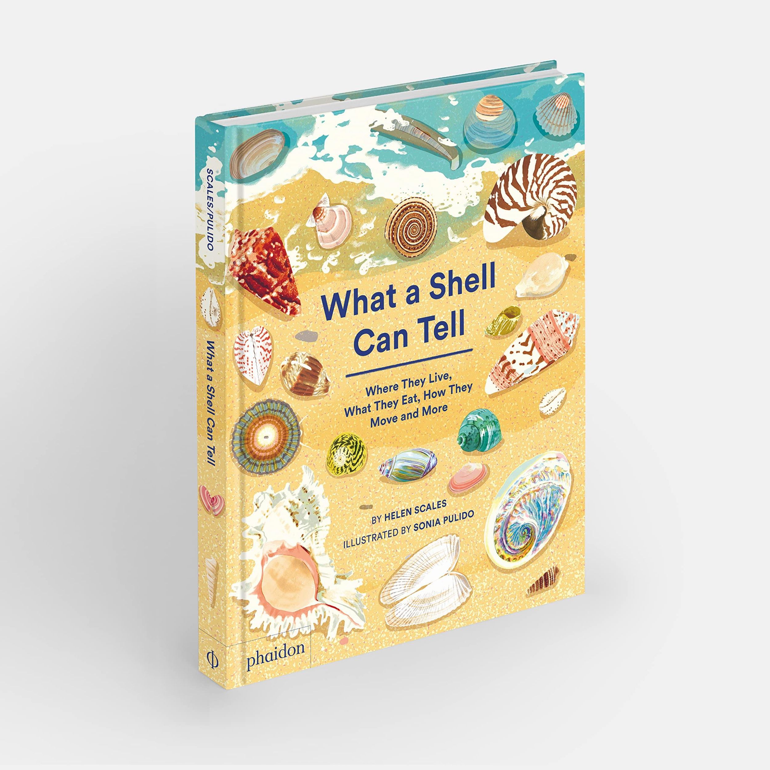 Bild: 9781838664305 | What A Shell Can Tell | Helen Scales (u. a.) | Buch | 48 S. | Englisch