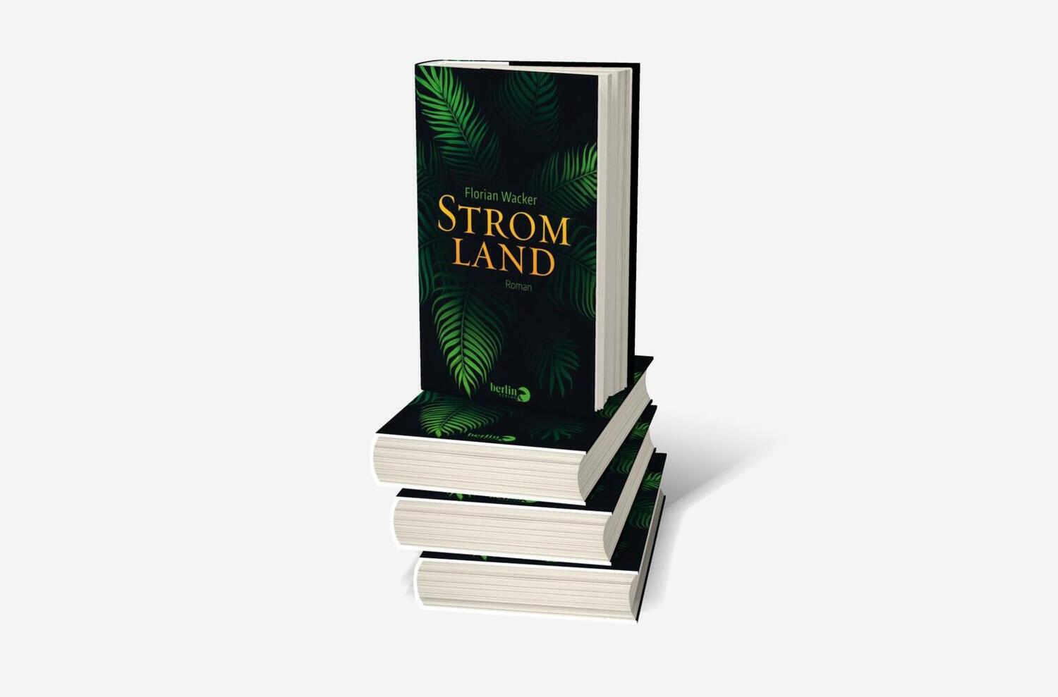 Bild: 9783827013606 | Stromland | Roman | Florian Wacker | Buch | 352 S. | Deutsch | 2018