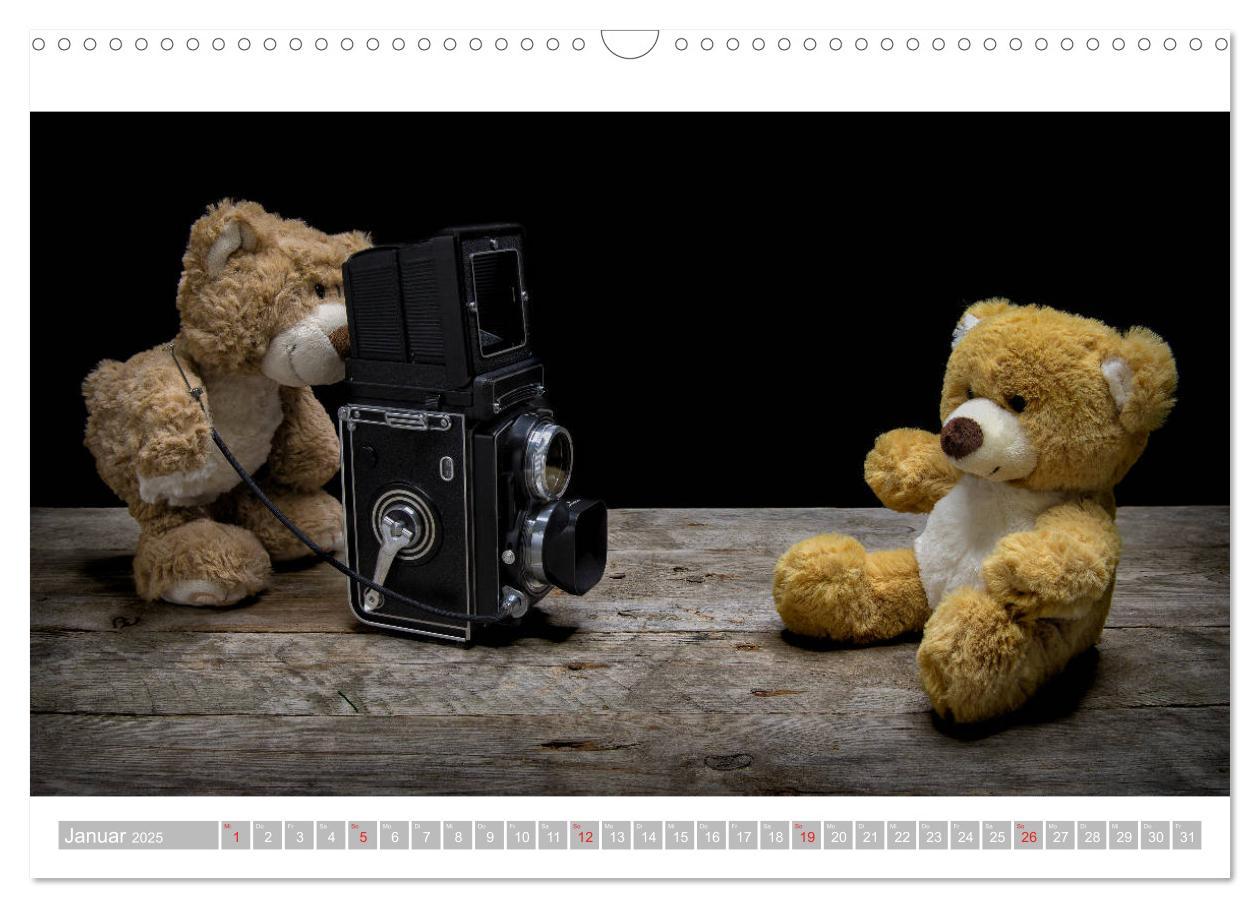 Bild: 9783435253432 | Eddy, der Teddy - 12 Bilder zum Schmunzeln (Wandkalender 2025 DIN...