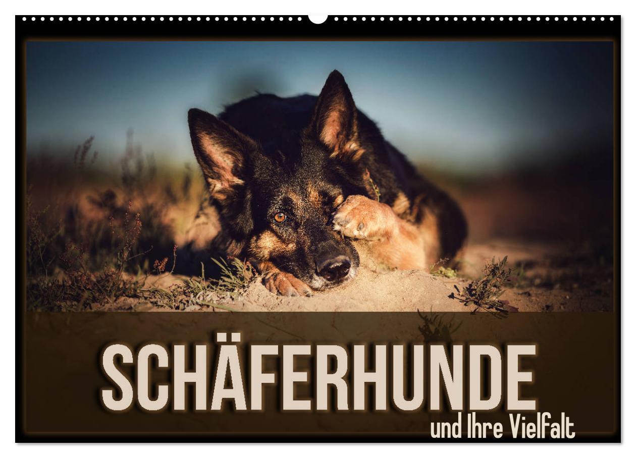 Cover: 9783435350315 | Schäferhunde und Ihre Vielfalt (Wandkalender 2025 DIN A2 quer),...