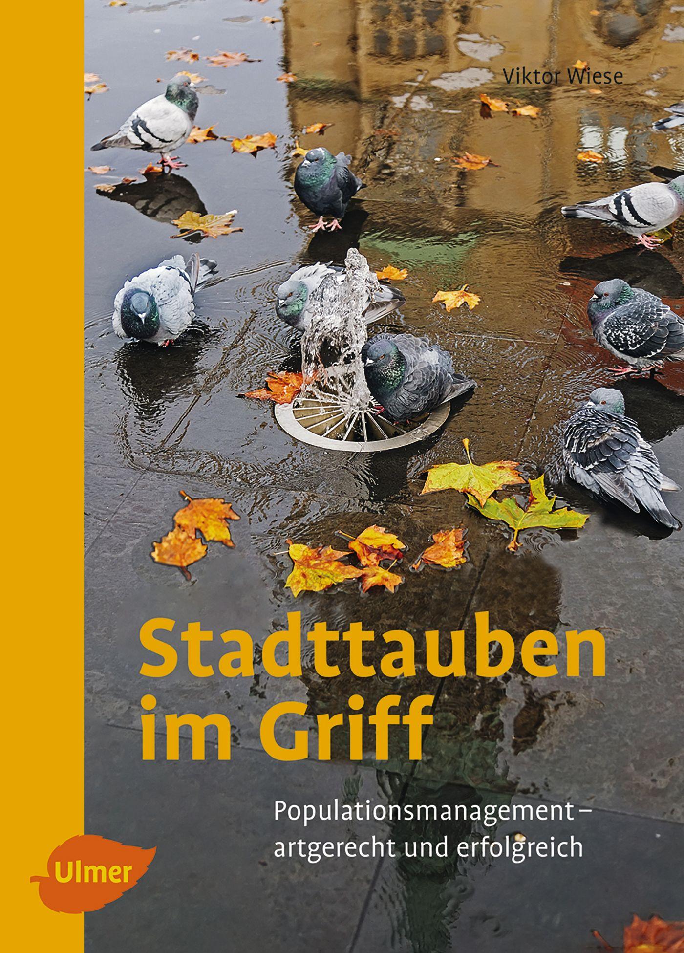 Cover: 9783800108435 | Stadttauben im Griff | Viktor Wiese | Taschenbuch | 93 S. | Deutsch