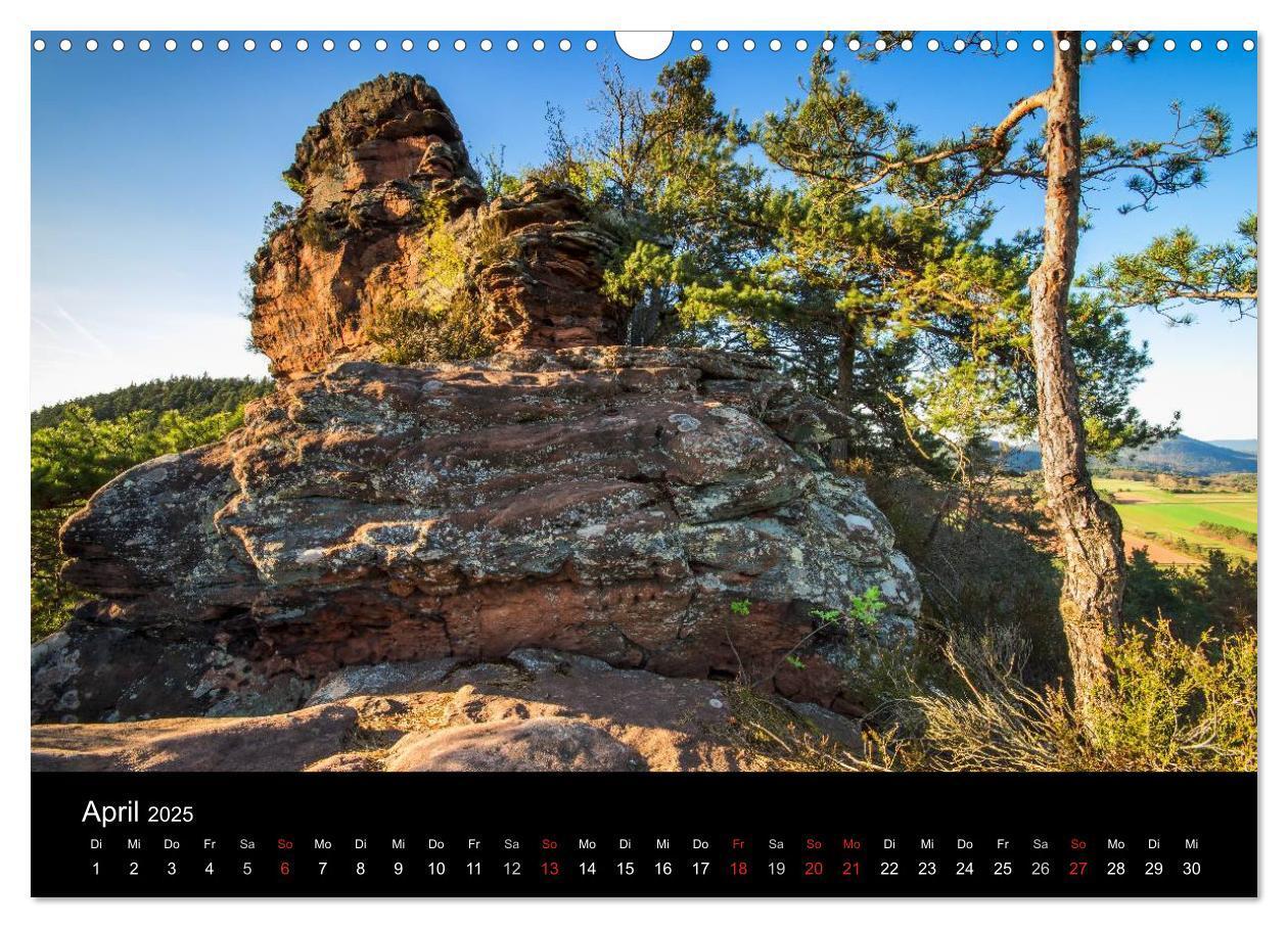 Bild: 9783435592432 | Mystischer Pfälzer Wald (Wandkalender 2025 DIN A3 quer), CALVENDO...