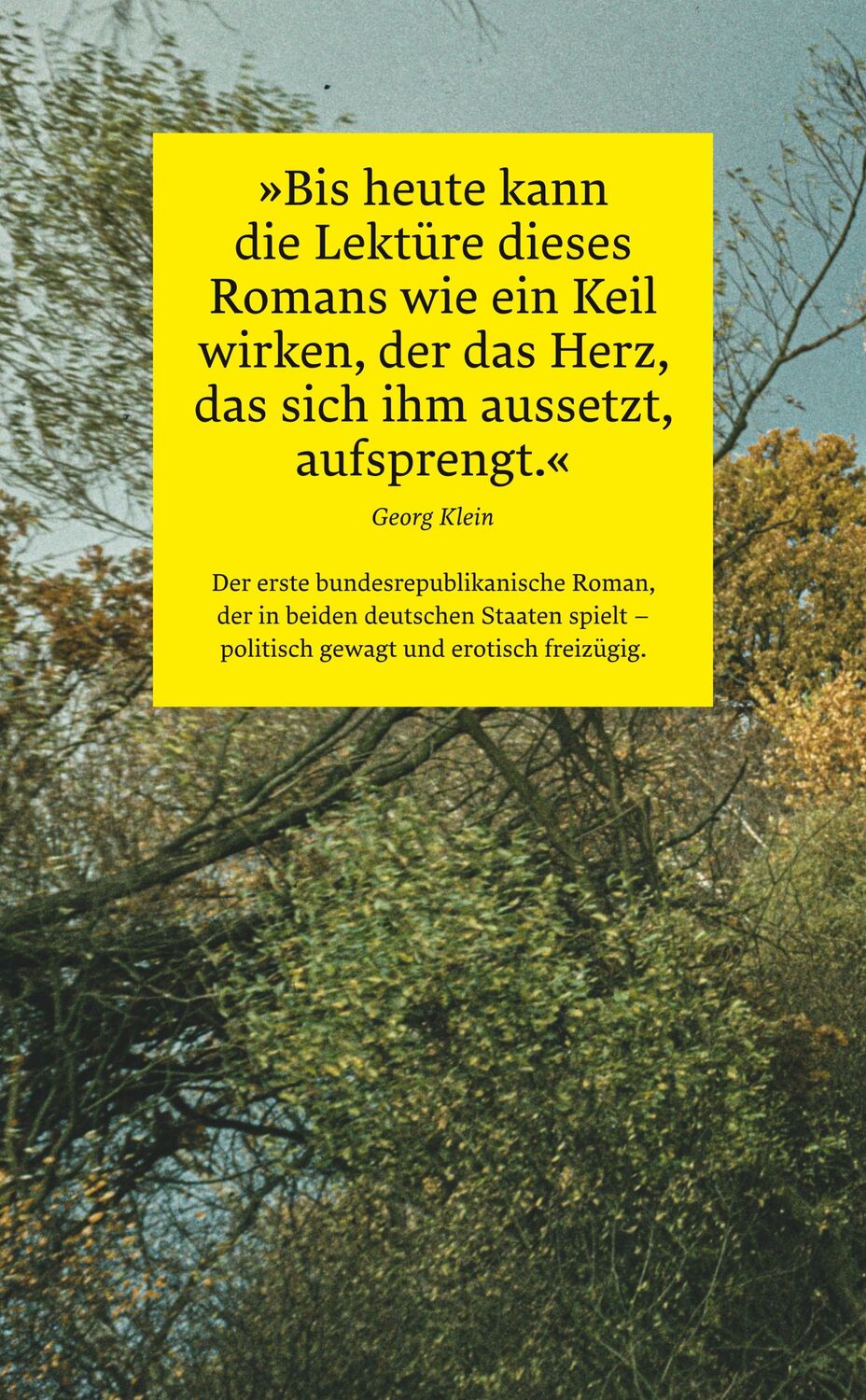 Rückseite: 9783518473801 | Das steinerne Herz | Arno Schmidt | Taschenbuch | 210 S. | Deutsch