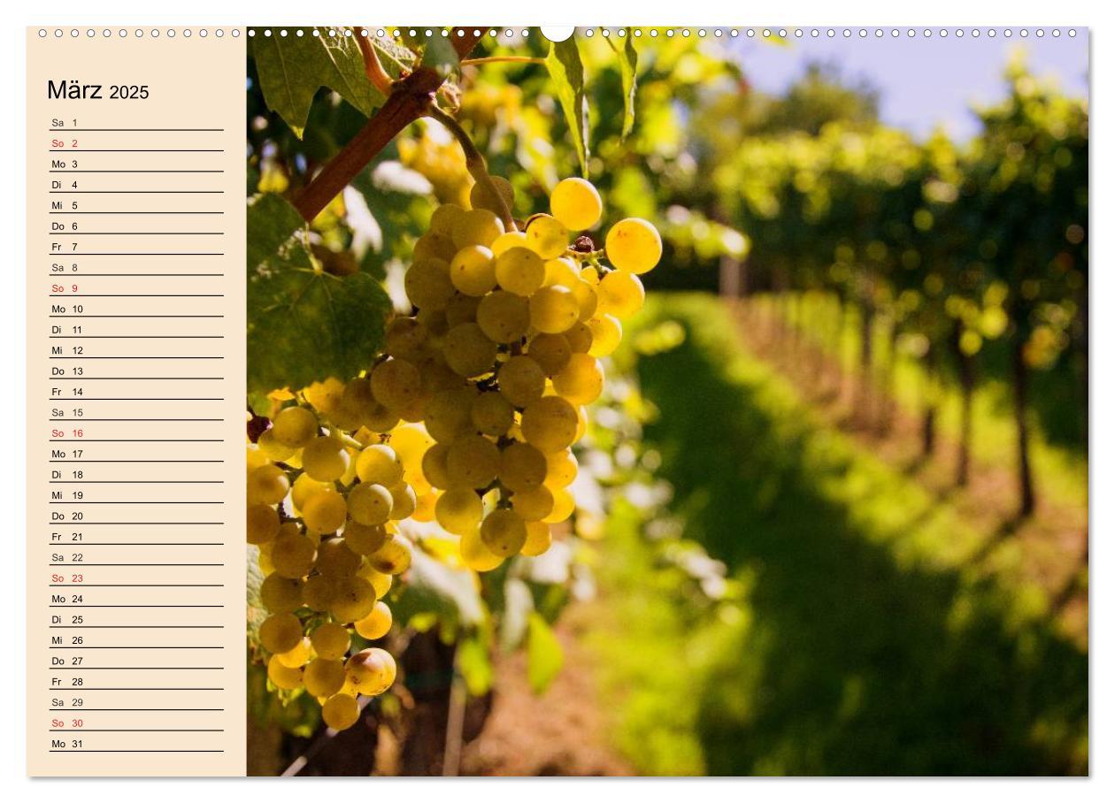 Bild: 9783435513178 | Weinanbau. Von der Traube zum Wein (Wandkalender 2025 DIN A2 quer),...