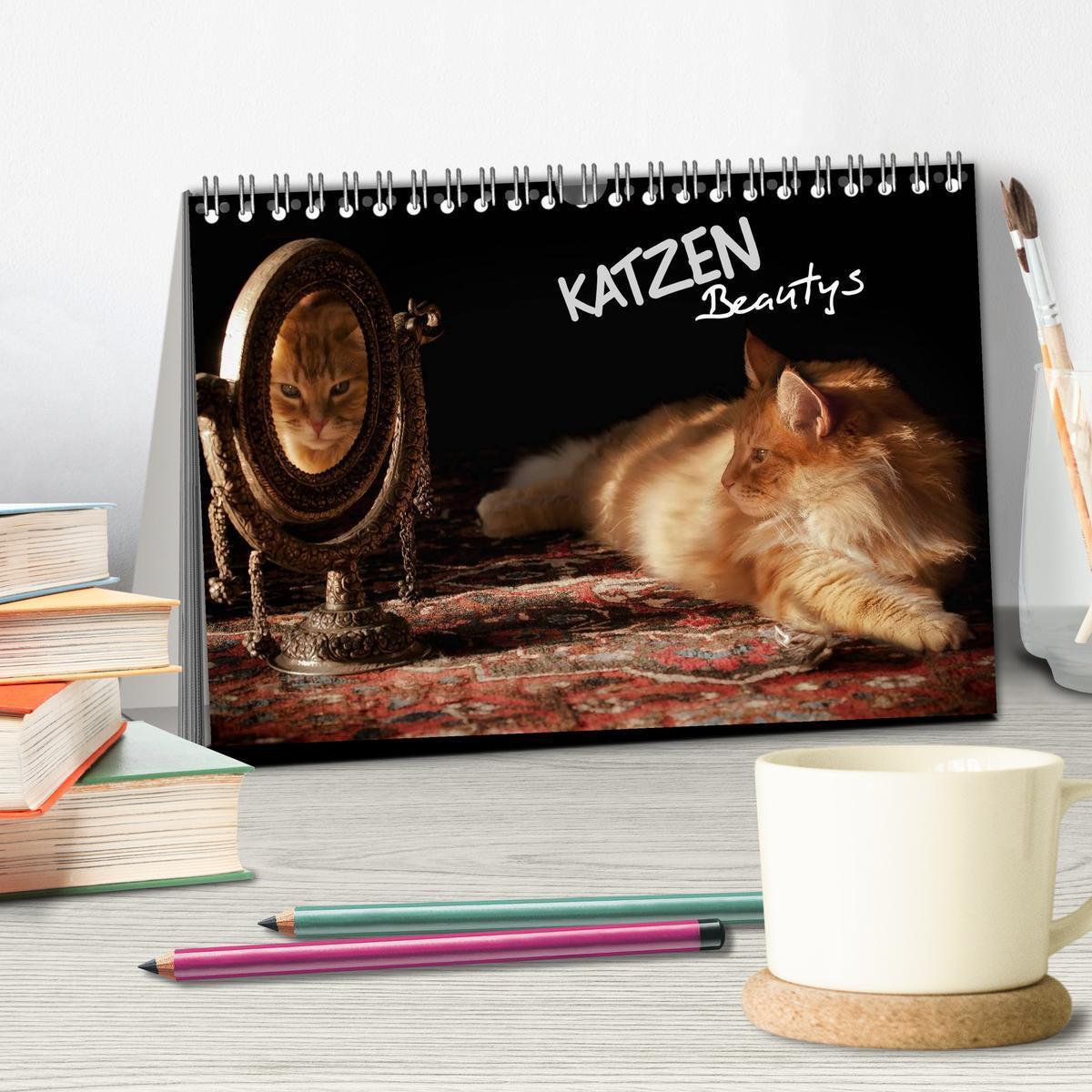 Bild: 9783435632053 | KATZEN Beautys (Tischkalender 2025 DIN A5 quer), CALVENDO...