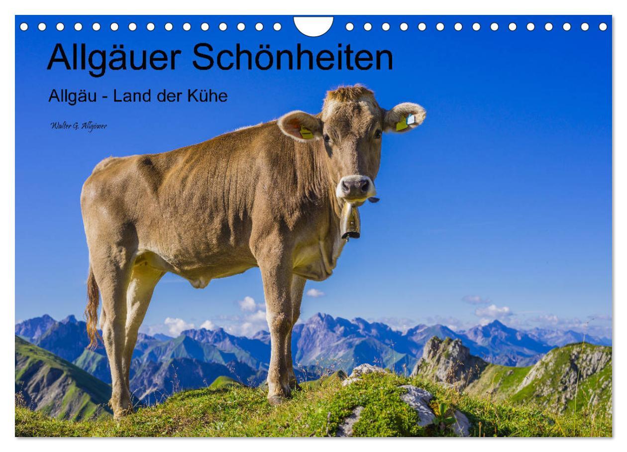 Cover: 9783435347865 | Allgäuer Schönheiten Allgäu - Land der Kühe (Wandkalender 2025 DIN...