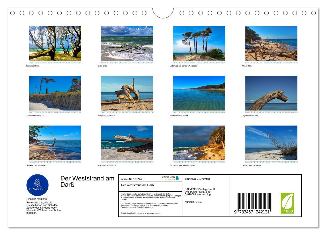 Bild: 9783457242131 | Der Weststrand am Darß (Wandkalender 2025 DIN A4 quer), CALVENDO...