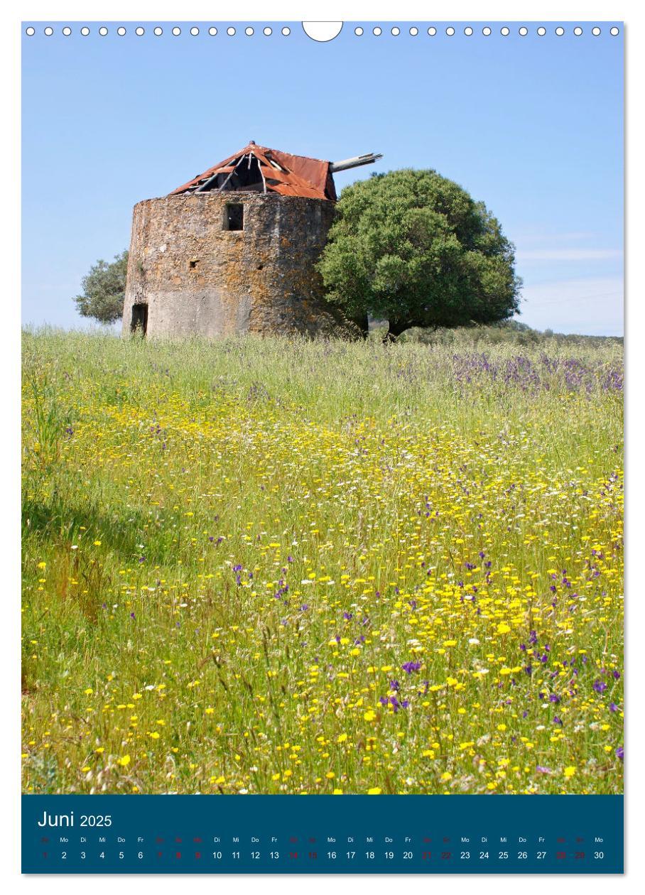 Bild: 9783435901289 | Erlebnis Windmühle (Wandkalender 2025 DIN A3 hoch), CALVENDO...