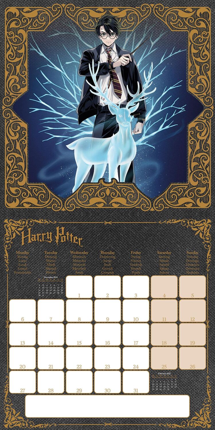 Bild: 9781804231647 | Harry Potter (Magical) 2025 30X30 Broschürenkalender | Kalender | 2025