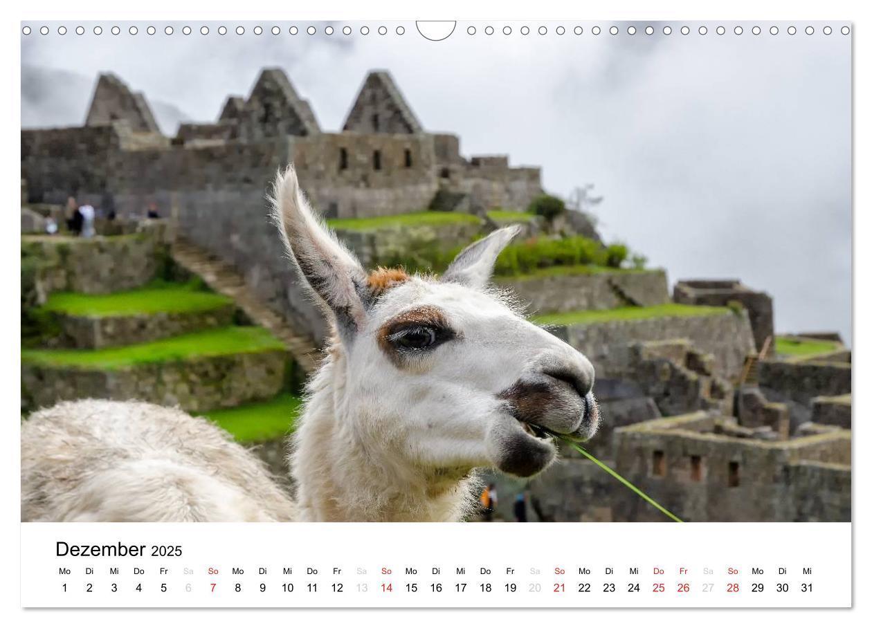 Bild: 9783435724444 | Peru - Land der Inkas und Alpakas (Wandkalender 2025 DIN A3 quer),...