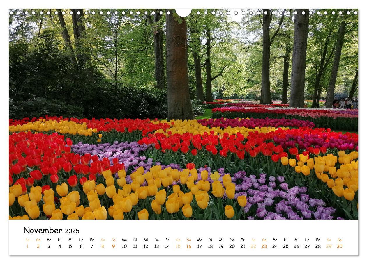 Bild: 9783383924354 | Auf Tour im Land der Tulpen (Wandkalender 2025 DIN A3 quer),...