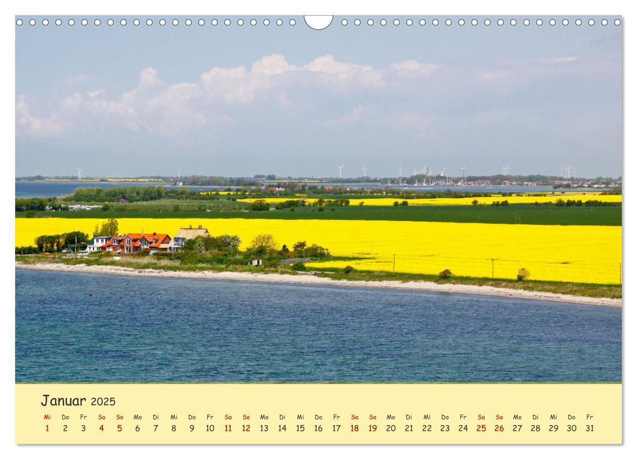 Bild: 9783435095162 | Rapsblüte an der Ostsee (Wandkalender 2025 DIN A3 quer), CALVENDO...