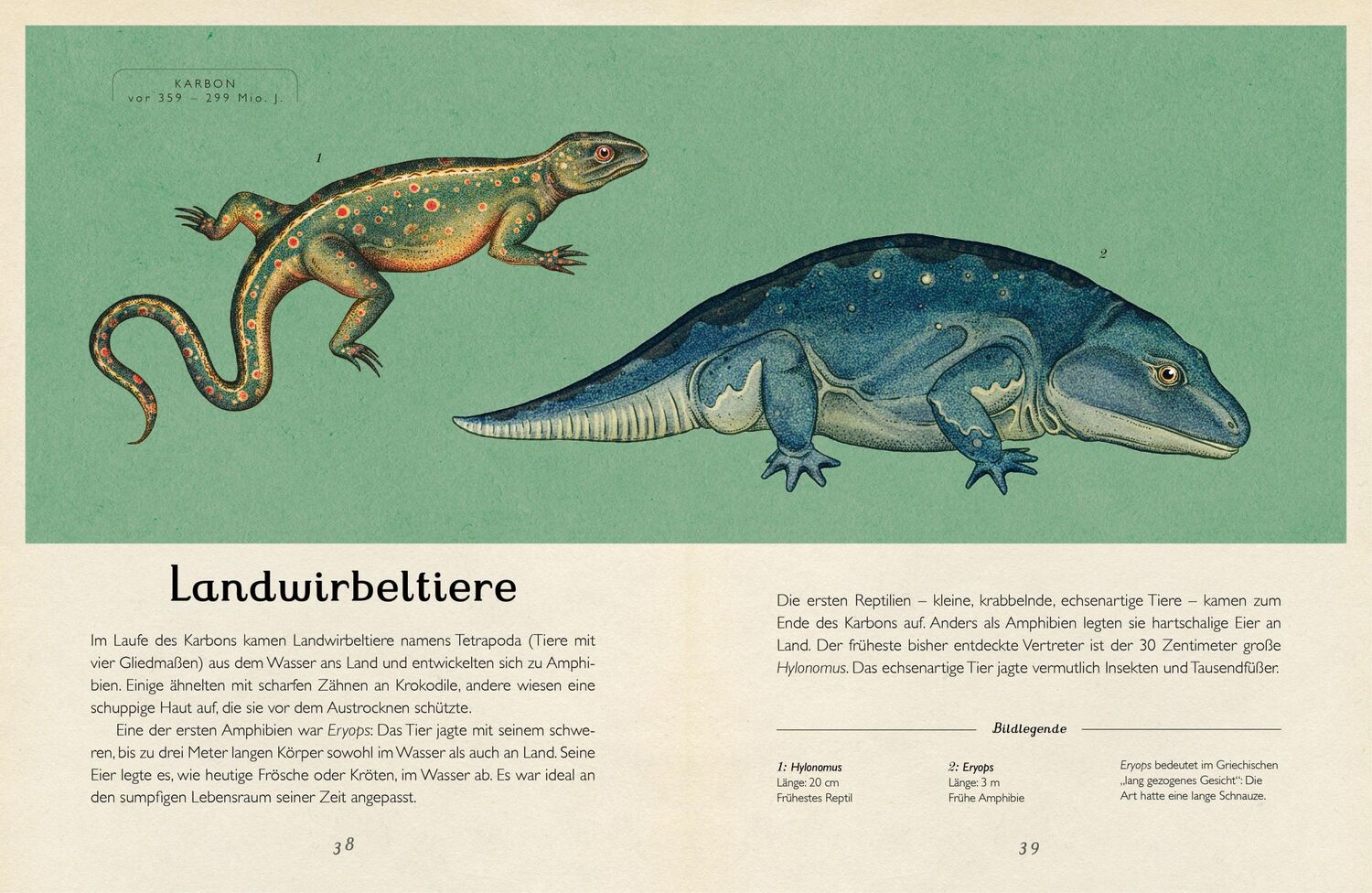 Bild: 9783791373089 | Die Entstehung des Lebens. Evolution | Eintritt frei! | Munro (u. a.)