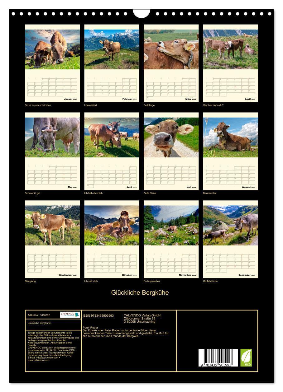 Bild: 9783435903993 | Glückliche Bergkühe (Wandkalender 2025 DIN A3 hoch), CALVENDO...