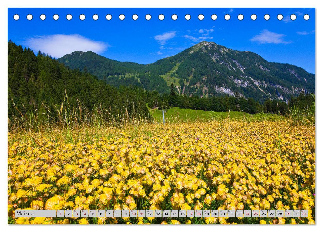 Bild: 9783435384051 | Herzliche Grüße aus Flachau (Tischkalender 2025 DIN A5 quer),...