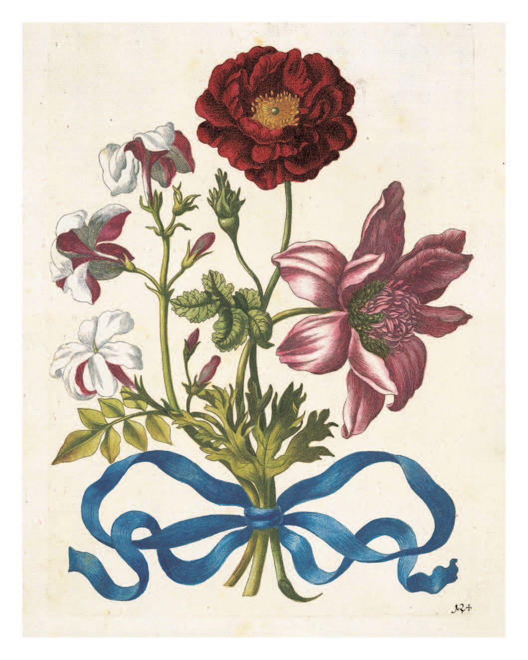 Bild: 9783791386003 | Maria Sibylla Merian: The New Book of Flowers/Neues Blumenbuch | Buch