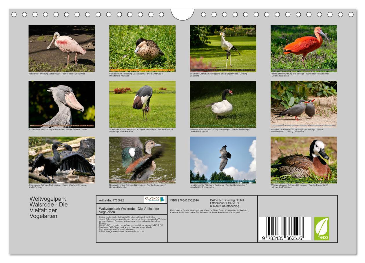 Bild: 9783435362516 | Weltvogelpark Walsrode - Die Vielfalt der Vogelarten (Wandkalender...