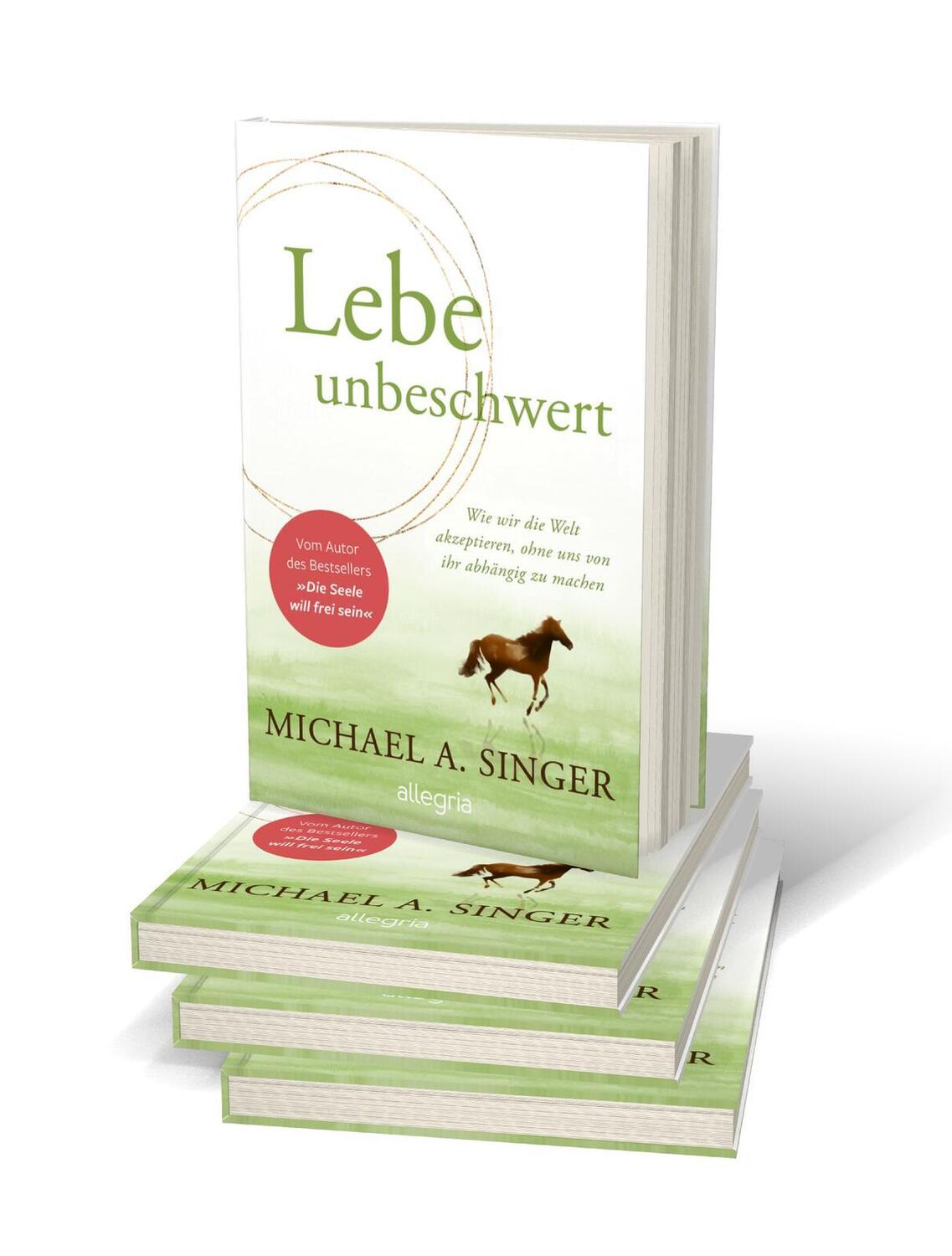 Bild: 9783793424543 | Lebe unbeschwert | Michael A. Singer | Taschenbuch | 272 S. | Deutsch