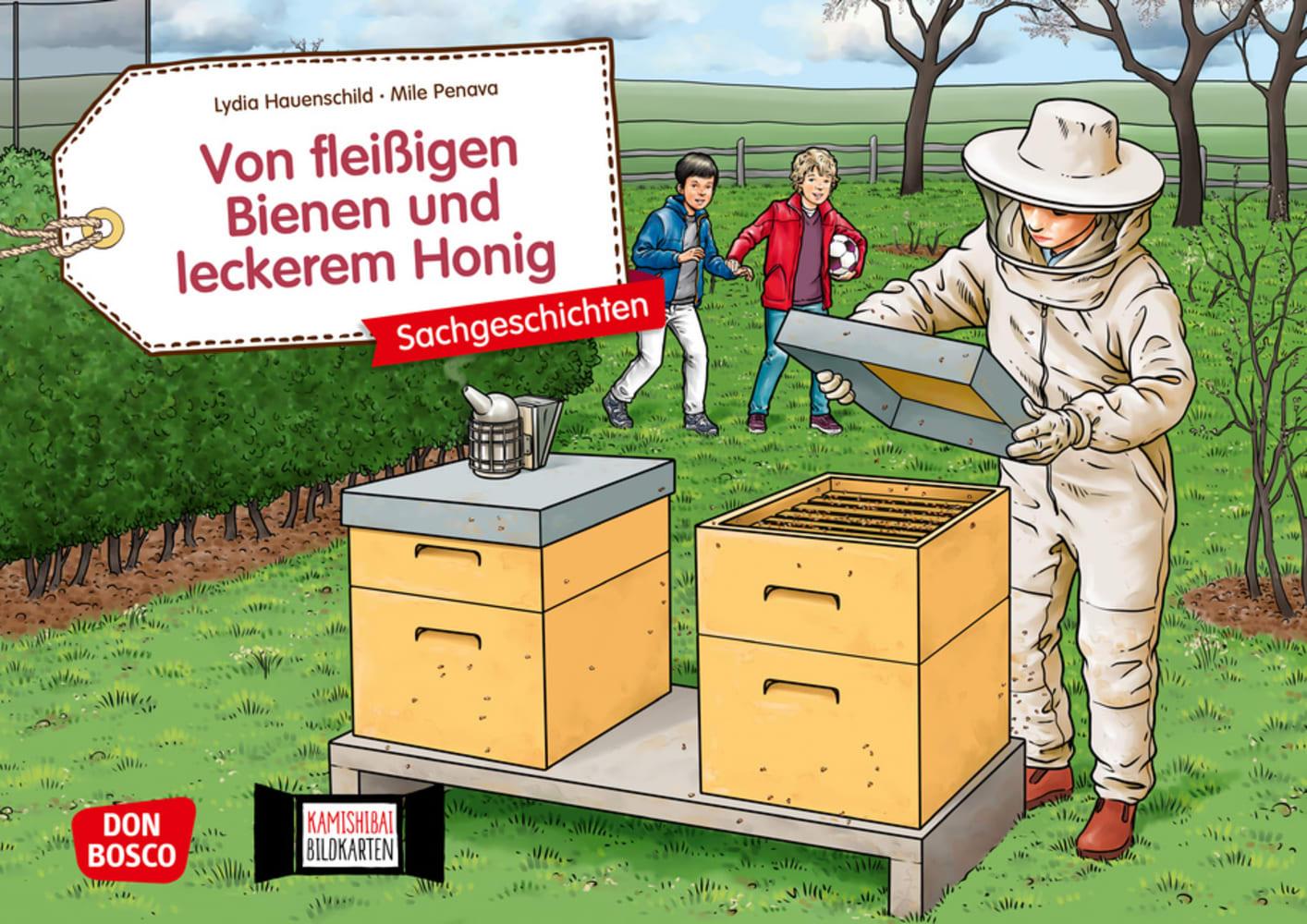 Cover: 4260179515507 | Von fleißigen Bienen und leckerem Honig. Kamishibai Bildkartenset.