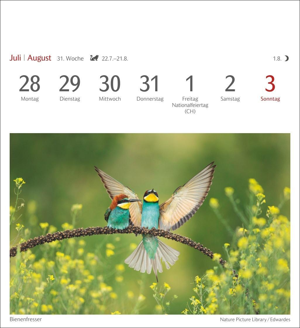 Bild: 9783840034213 | Heimische Vögel Postkartenkalender 2025 - Wochenkalender mit 53...