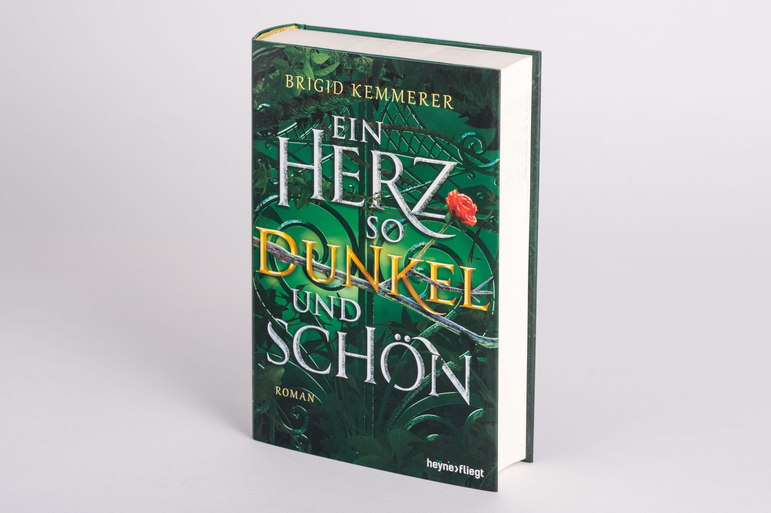 Bild: 9783453272538 | Ein Herz so dunkel und schön | Roman | Brigid Kemmerer | Buch | 544 S.