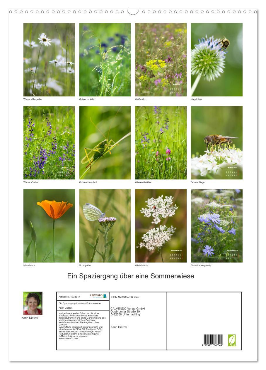 Bild: 9783457060049 | Ein Spaziergang über eine Sommerwiese (Wandkalender 2025 DIN A2...