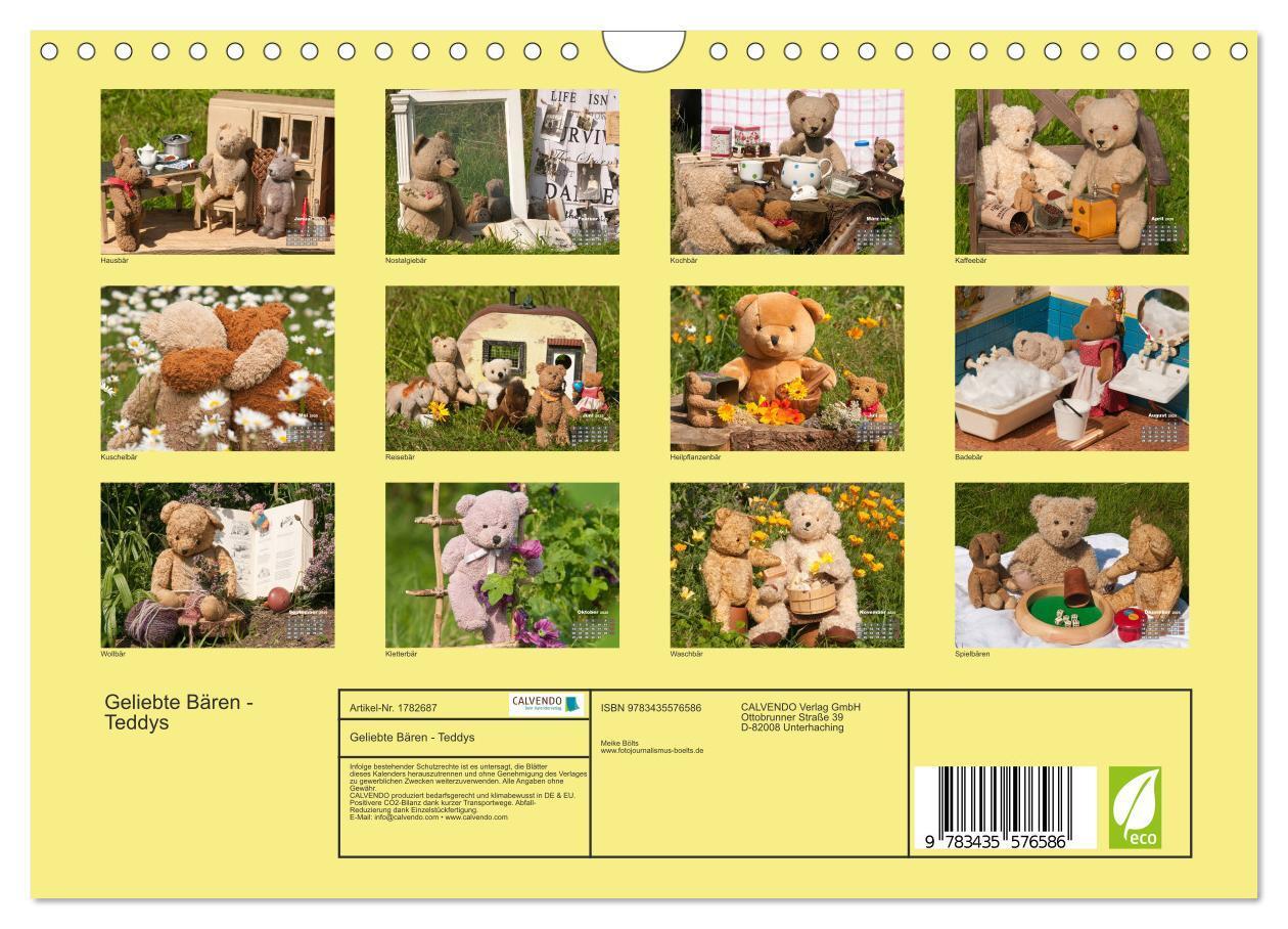 Bild: 9783435576586 | Geliebte Bären - Teddys (Wandkalender 2025 DIN A4 quer), CALVENDO...