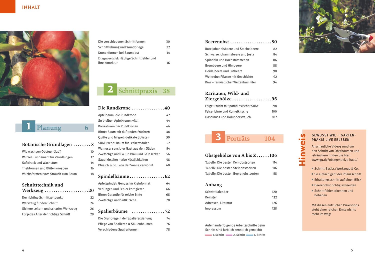 Bild: 9783833894954 | Obstgehölze schneiden | Schritt für Schritt zu reicher Ernte | Haas