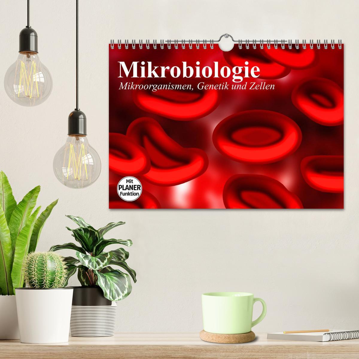 Bild: 9783435483808 | Mikrobiologie. Mikroorganismen, Genetik und Zellen (Wandkalender...