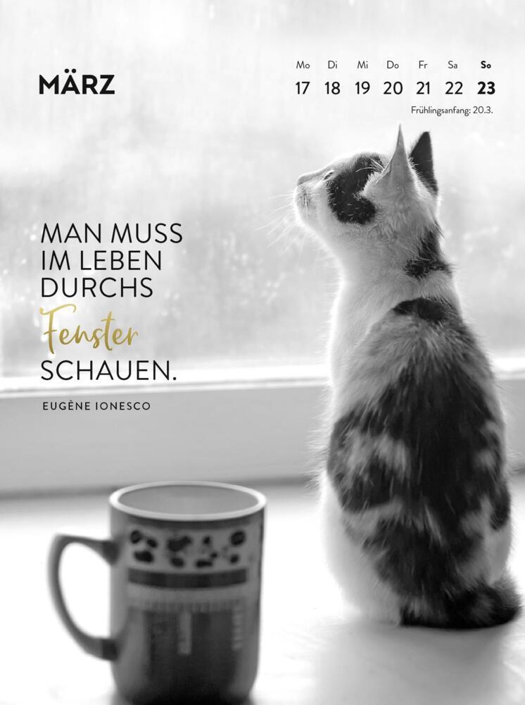 Bild: 4036442012116 | Wochenkalender 2025: Goldene Katzenweisheiten für jeden Tag | Verlag