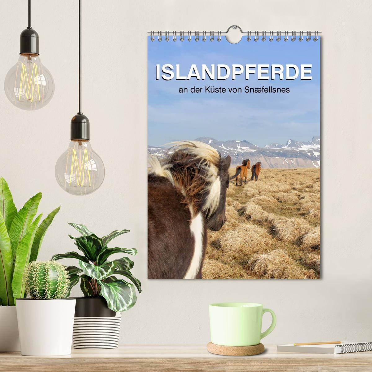 Bild: 9783457050002 | ISLANDPFERDE an der Küste von Snæfellsnes (Wandkalender 2025 DIN A4...