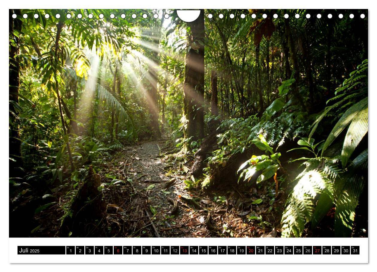 Bild: 9783435831128 | Costa Rica (Wandkalender 2025 DIN A4 quer), CALVENDO Monatskalender