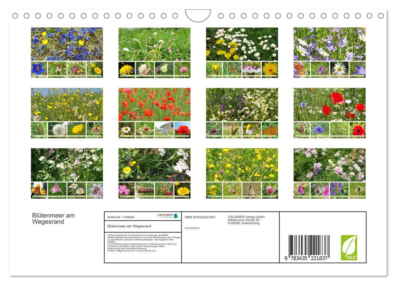 Bild: 9783435221837 | Blütenmeer am Wegesrand (Wandkalender 2025 DIN A4 quer), CALVENDO...