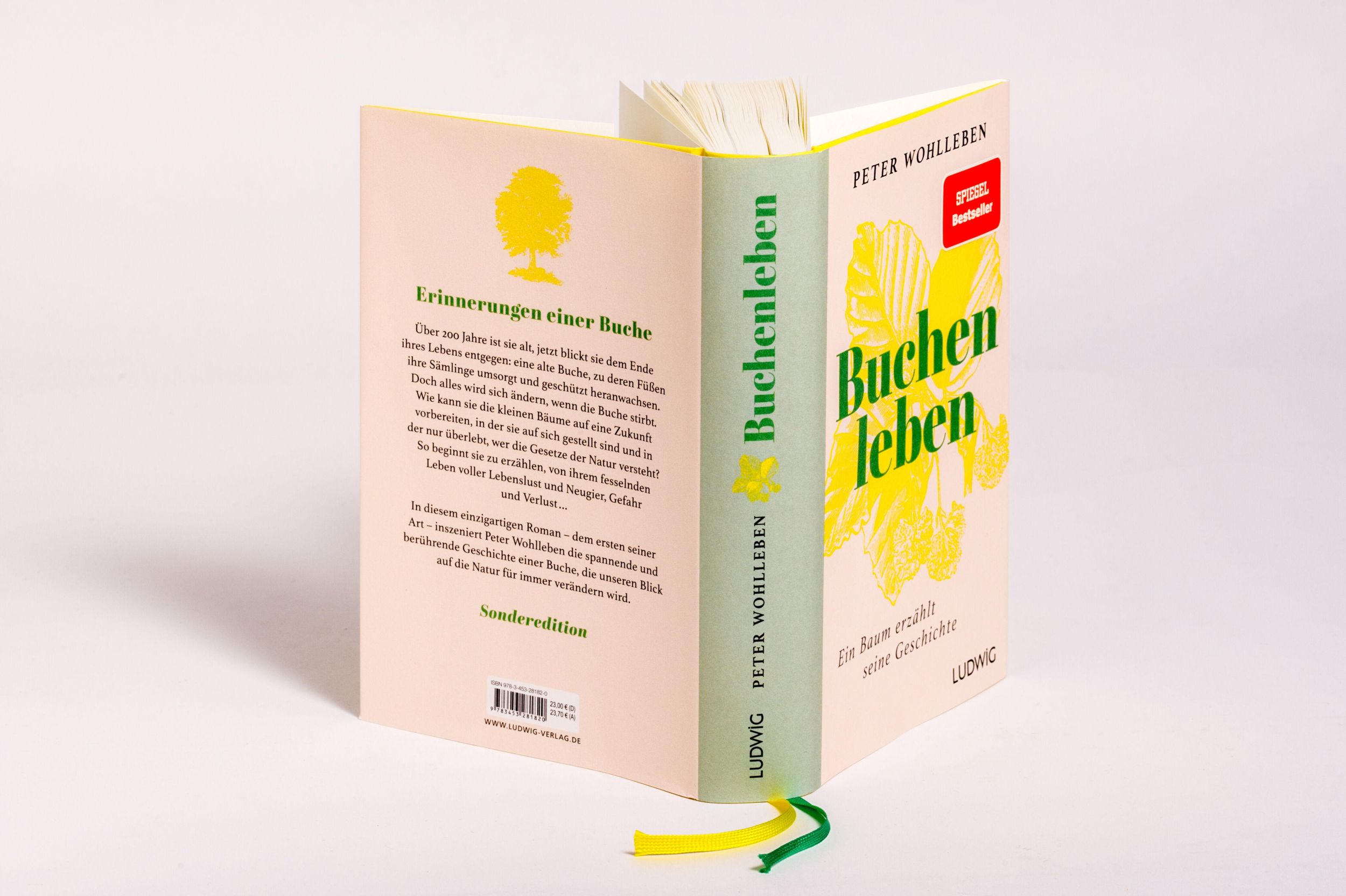 Bild: 9783453281820 | Sonderedition: Buchenleben | Peter Wohlleben | Buch | 352 S. | Deutsch