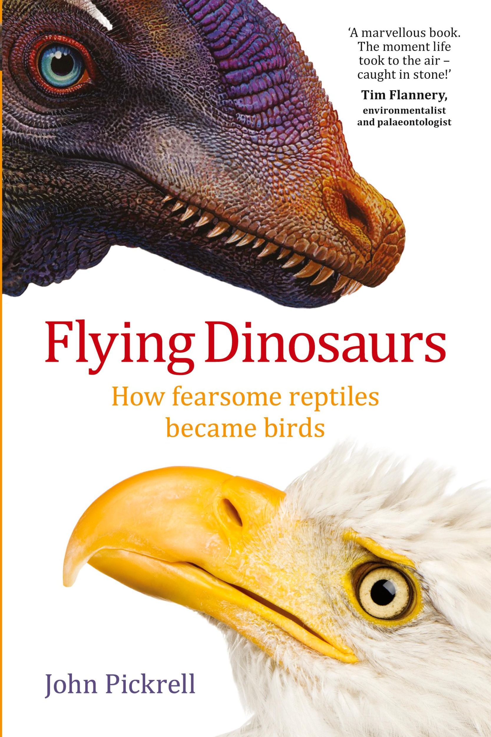 Cover: 9781742233666 | Flying Dinosaurs | How fearsome reptiles became birds | John Pickrell