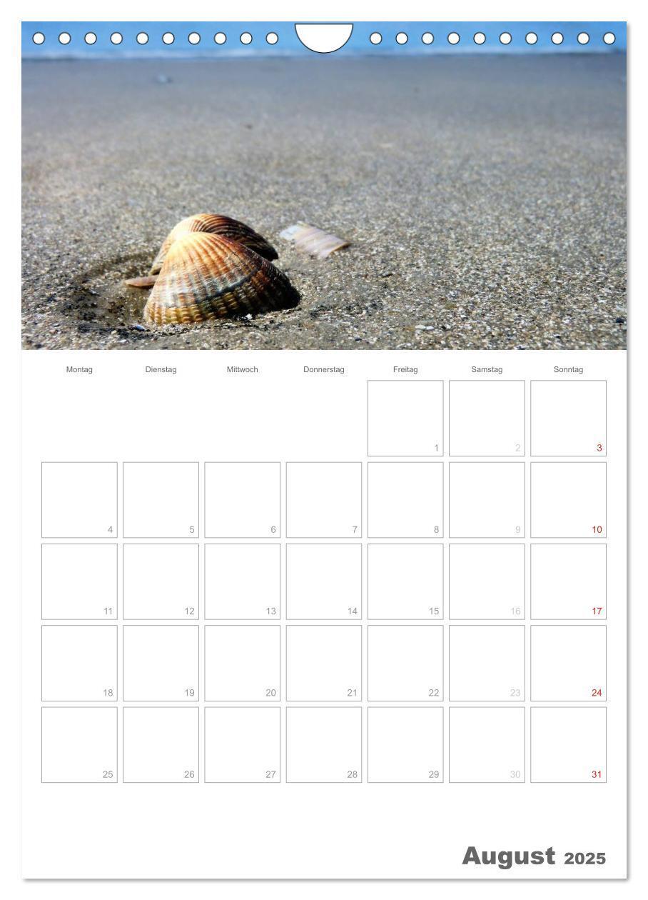 Bild: 9783457089521 | Dänemarks Westküste (Wandkalender 2025 DIN A4 hoch), CALVENDO...